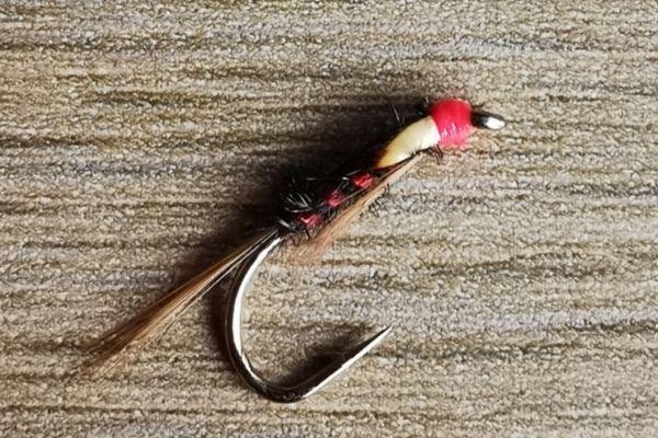 Diawl Bach Nymph is one of the reliable fly fishing flies